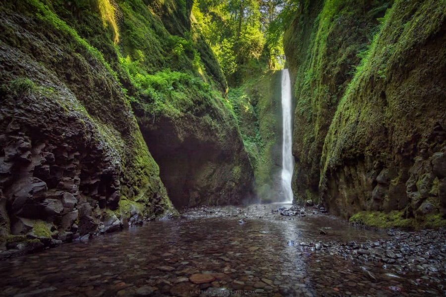Nature is Our Pool: Great Swimming Holes Near Portland