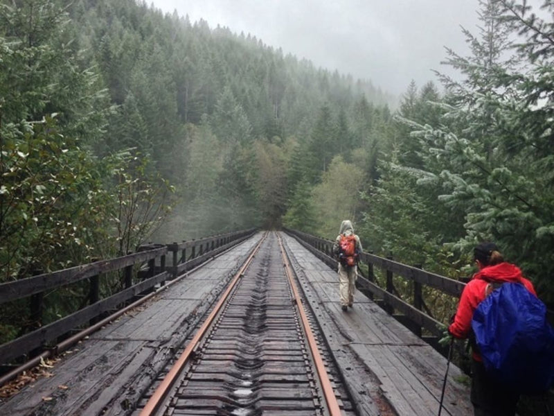 All Aboard: Exploring the Abandoned Railroad of the Salmonberry River Trail