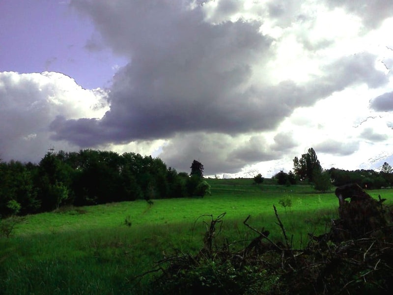 The 5 Best Rainy Day Runs Around Portland