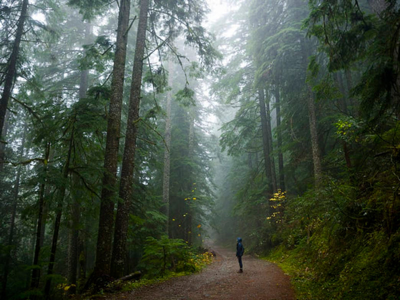 10 Reasons to Love the Rainy Season in Portland