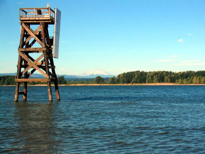 Spending Summer on Sauvie Island: One of the Largest River Islands in the US