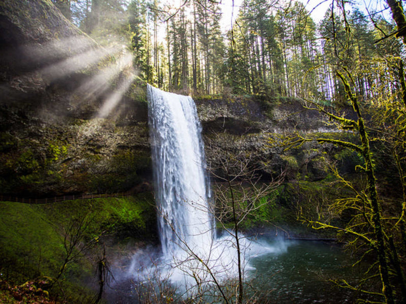 Labor Day Weekend in Portland: 5 Great End-of-Summer Hikes