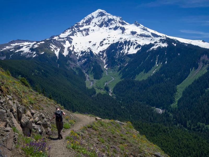 Mount Hood Hikes: 5 Spots With Stunning Views of Oregon's Iconic Peak