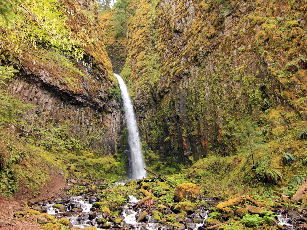 Hit the Trail: The Best Spring Hikes in Portland – Grafletics®