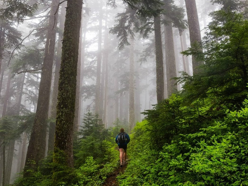 5 Things You Need to Know About the Ever-Popular Eagle Creek Trail