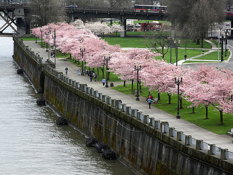 Fascinating Oregon Landmarks You Can Hike, Paddle, and Ski To